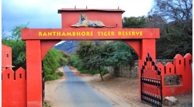 udaipur-to-ranthambore-taxi